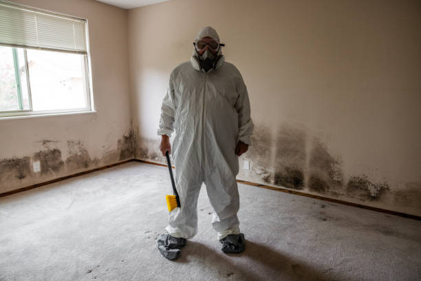Best Mold Remediation for Specific Building Types in Union City, TN